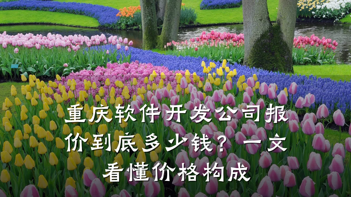 重庆软件开发公司报价到底多少钱?一文看懂价格构成
