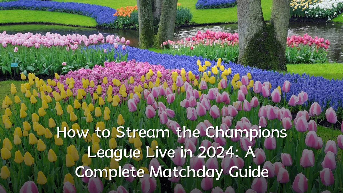 How to Stream the Champions League Live in 2024: A Complete Matchday Guide