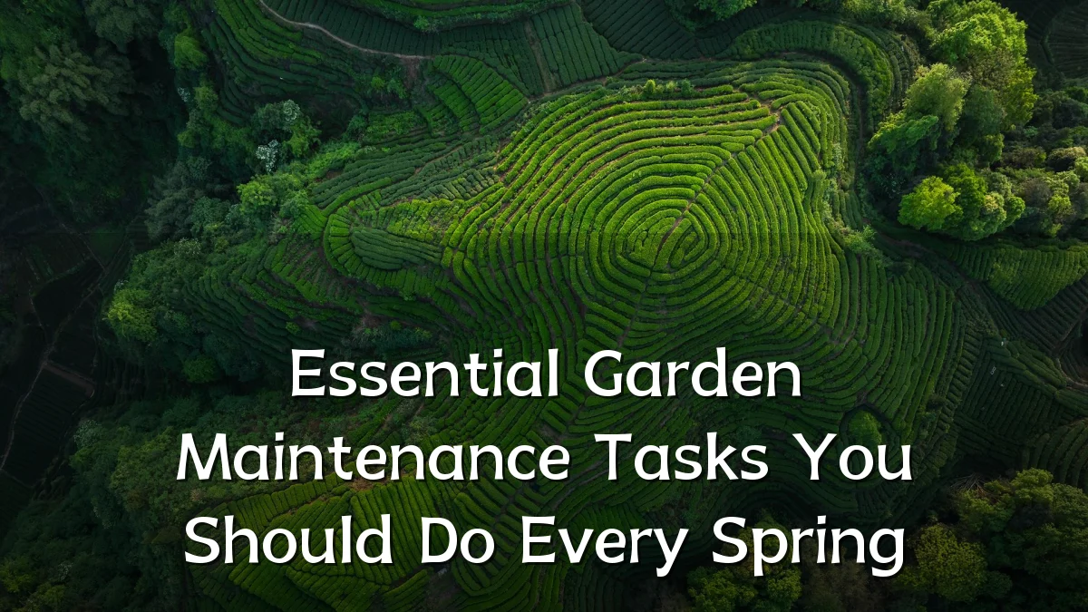 Essential Garden Maintenance Tasks You Should Do Every Spring